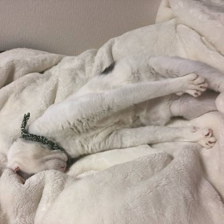 E6059cb3 e768 47b4 8599 37d4eeebf501 1543159496726