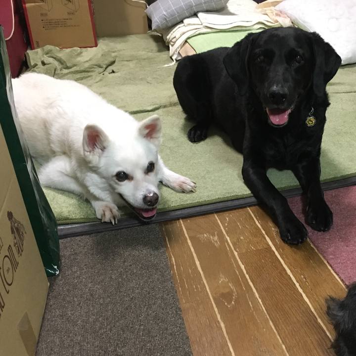 E605b5b1 145e 412d b28f 9f64b0b7a67c 1532597644495