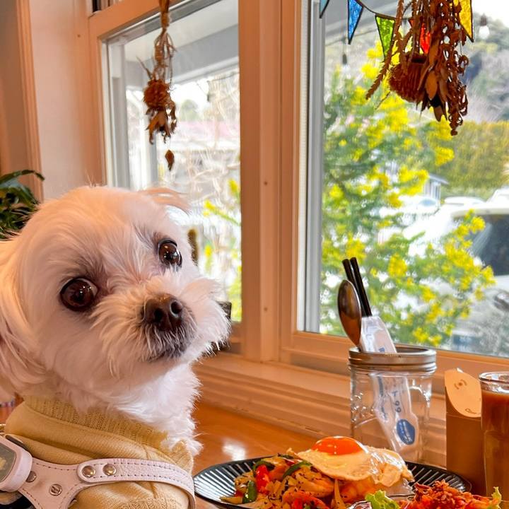 E605e8ba 0e7b 4612 b627 fc6a89e842a8 1678095512802