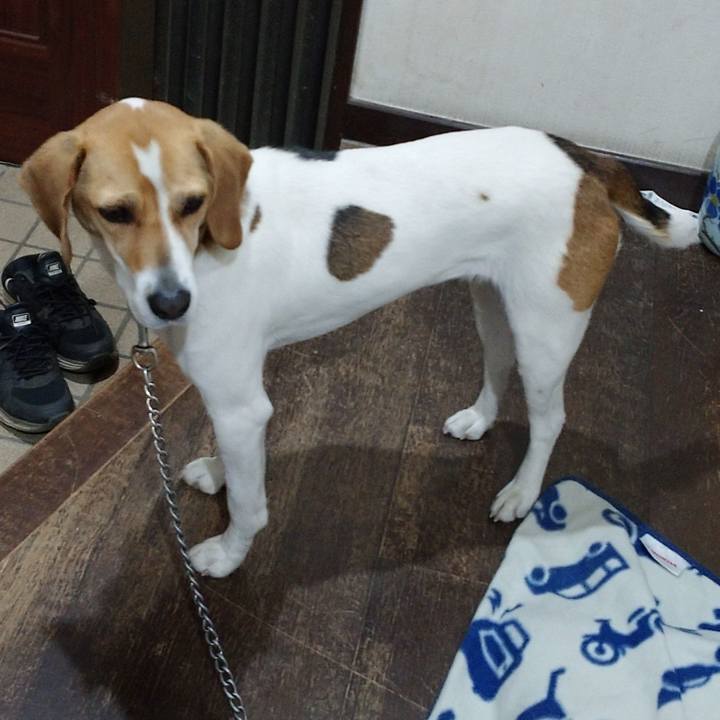 E605ef84 4ac1 46df a139 95a0e82a106f 1586516582152