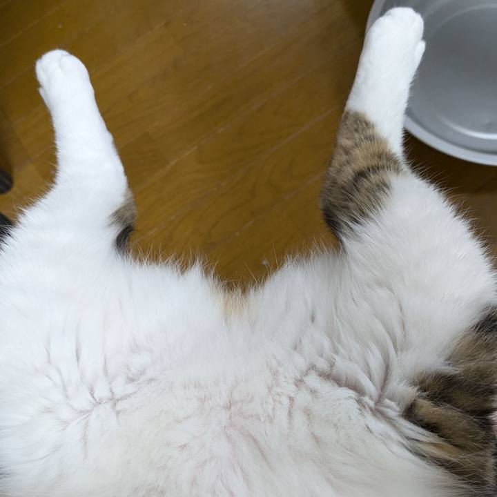 E605fd6d 161f 46c7 a27d a0d9eb1b0a73 1733743455130