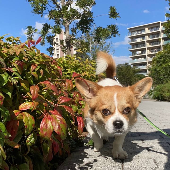 E6061edd aebf 4adf 94ac 5bc5473bd5a6 1634813665118