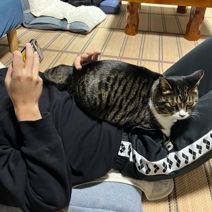 E60657ad f6a6 48bf 8b5e 76796a5ee6bb 1765499098290