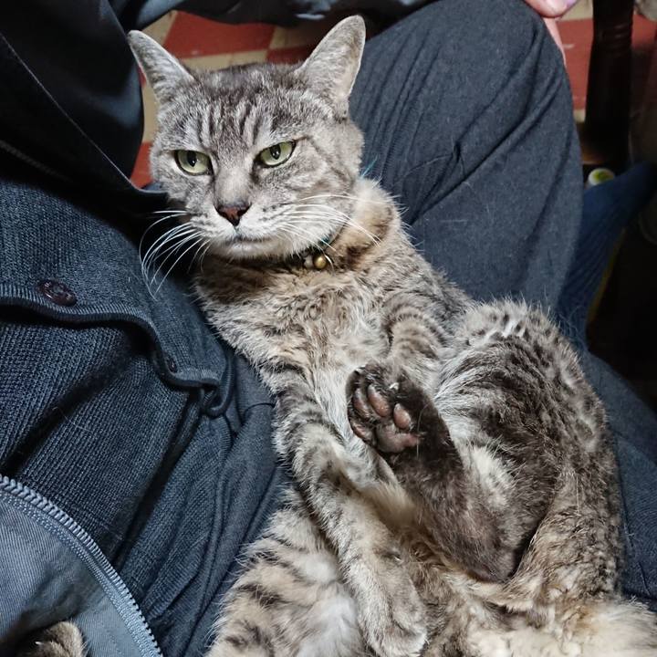 E60692a4 bfcb 4ffa 9e7b 962239c6b8cb 1573422726498