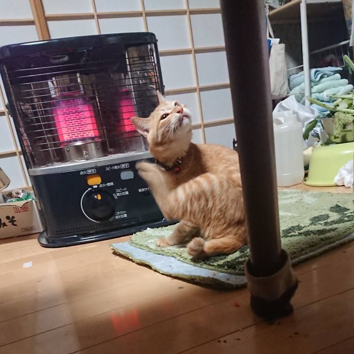 E6073712 5406 439f acb4 ab57580c2431 1635454480804