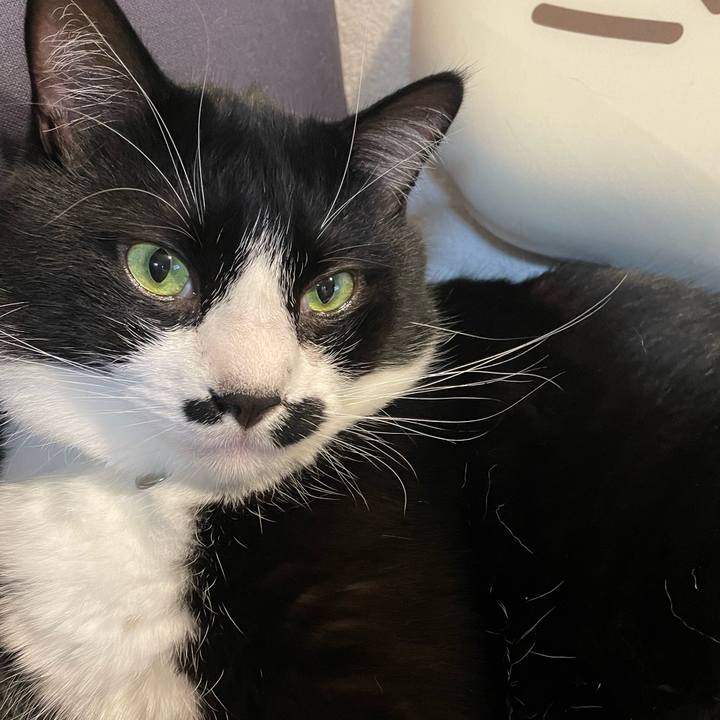 E60739fe c3d5 4369 bcfb a5f53c1473cf 1724841477667