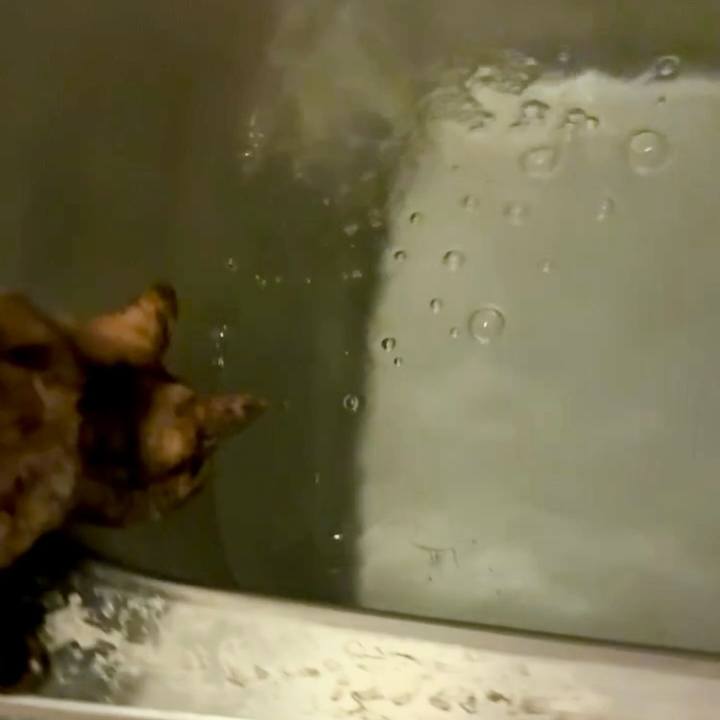 E60742e0 6010 47e8 8475 2570bbbf8383 1744752700627