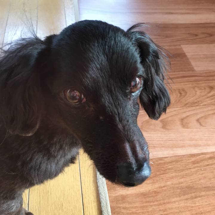 E607879d 4387 44d7 8ebe df94ba7a3824 1546214670575