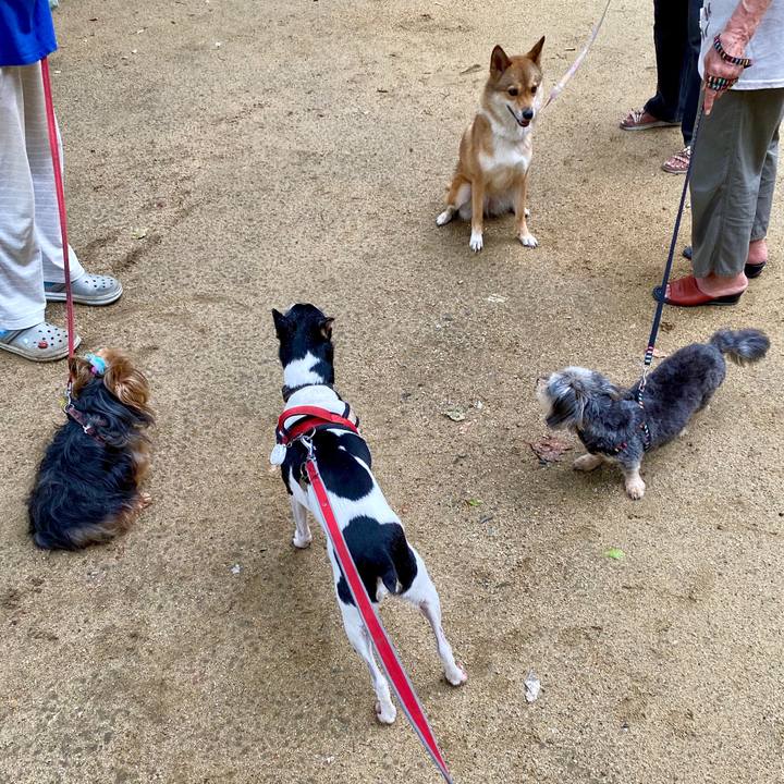 E607a492 32d8 4730 a304 6c2932af4cf4 1598087814174