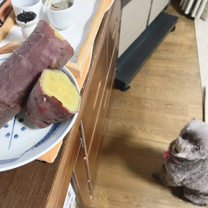 E607aa0f e61b 4dd2 8f48 e9e60a52a4b0 1724663872940