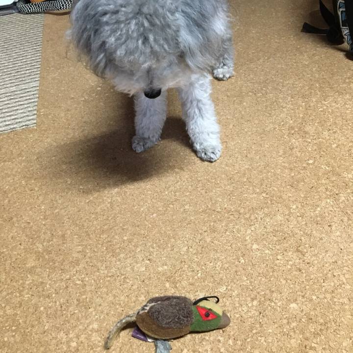 E607c6e0 30da 495c a0b4 258afd35b10b 1508416957155