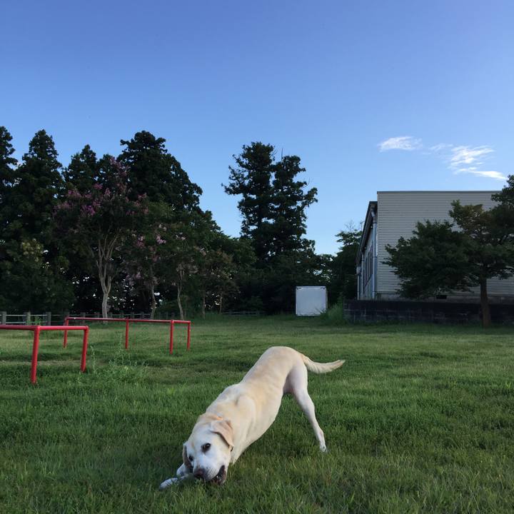 E60824ef 37da 4e4c b0e1 a52d5bf79887 1554460871686