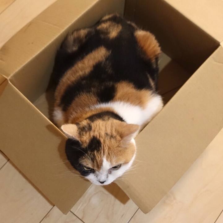 E6083bbd 28e0 427f b6d1 082be0330f80 1564725613627