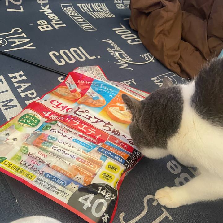 E6083fc2 5d34 4208 a010 467eb3d826bc 1707804574255