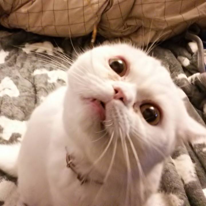 E6087822 4fd2 42bf 9b14 1959e7188f40 1522104401523