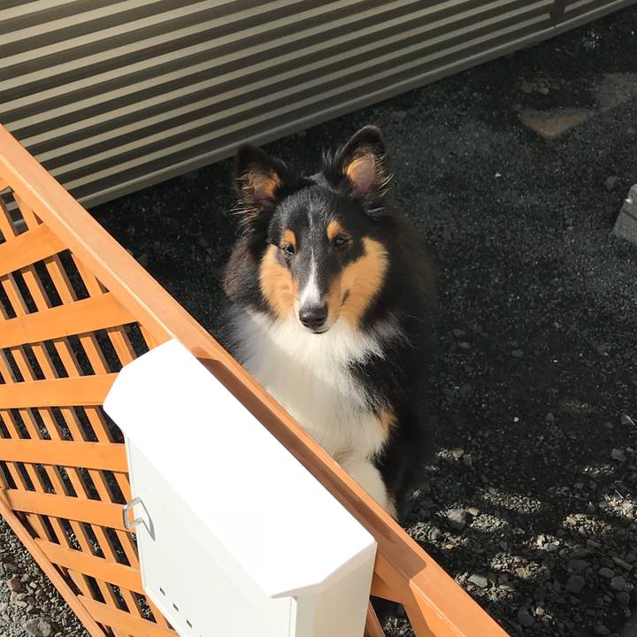 E6088a41 43c6 4309 855b ba033644d898 1530395568896