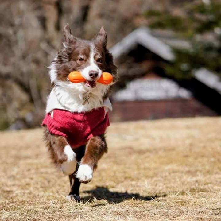 E6089835 818b 4304 bae9 e3c7af359c81 1772774292487