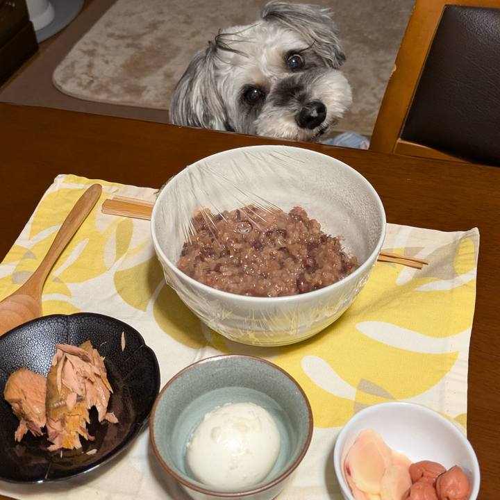 E608b281 20dd 4b7a 98d8 e055594352e4 1759406672409