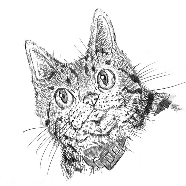 E608c1f4 4b1f 4b1c ada8 8589f73a2e92 1579280941949