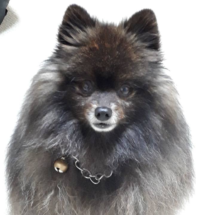 E608def4 9723 4625 b8b8 146d4ffaa758 1517433920784