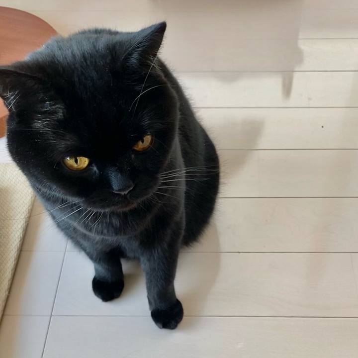 E608ef50 fbfd 4b4d ba13 780b880e1f3d 1614391400844