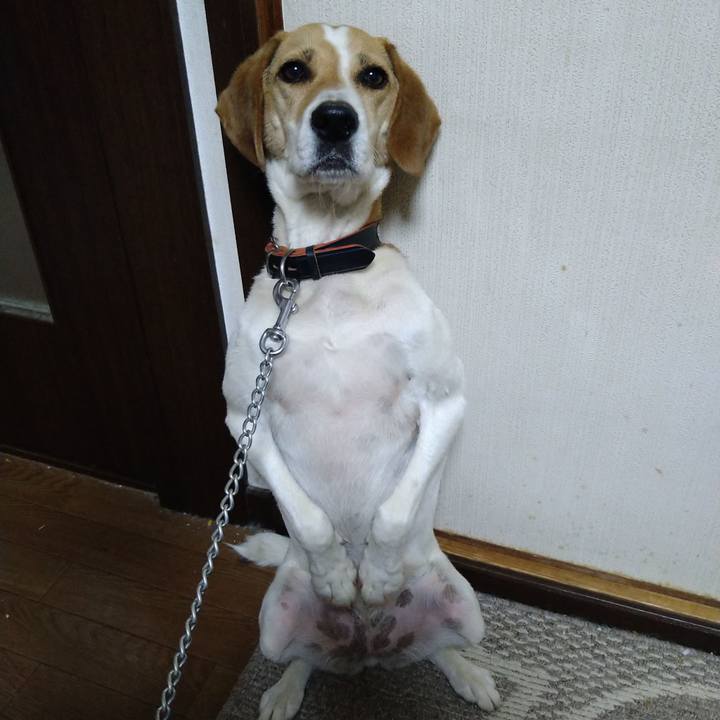 E60905a3 ad5b 4981 a72f 866a55ce10ff 1625211526054