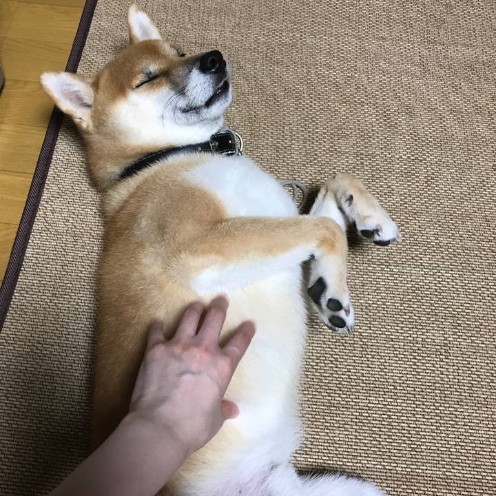 E6093a61 f8af 4a0b bbb5 16a517a561ab 1536673923549