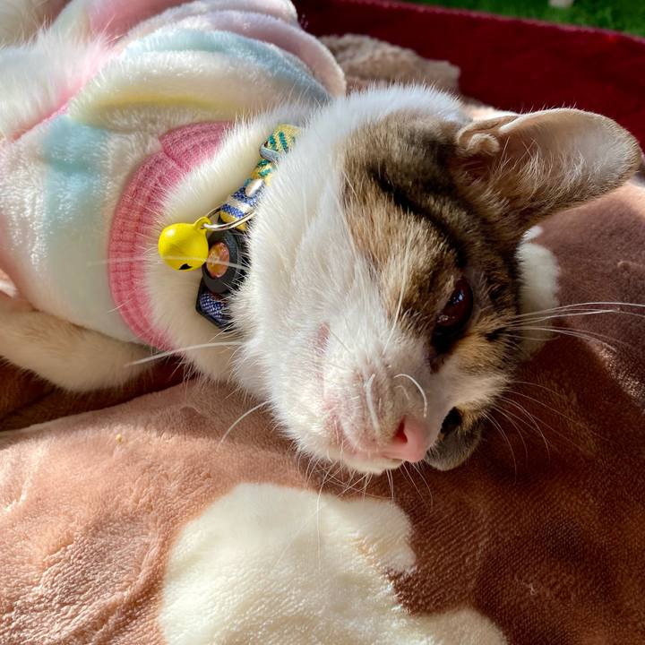 E6095bd8 f2e5 459a a2bb 1cddbefc4f10 1706158862557