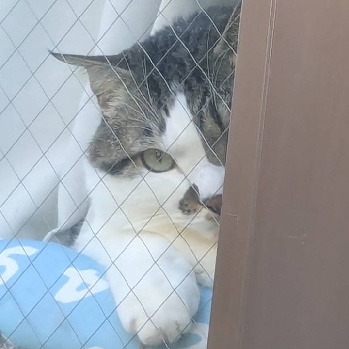 E6097c61 d6cc 437b 8248 c22faa4ba11a 1758062288825