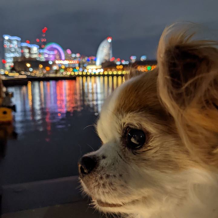 E6097d4d 6977 4693 b7d4 b386b2fa2b22 1648211402685