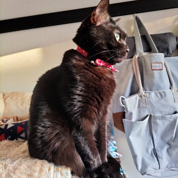 E60982fb 2d94 4c61 aa93 dc7cd8ac7fc0 1644360121345