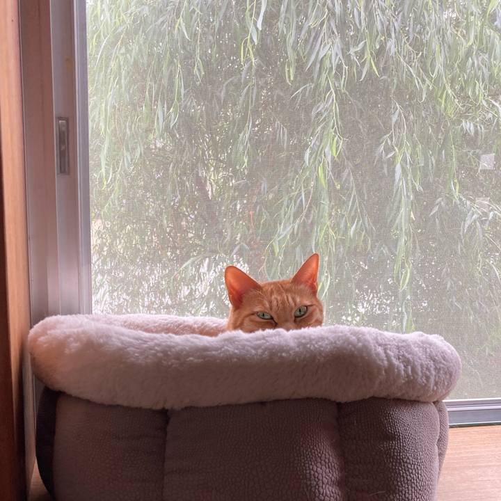 E609c52d ef6b 4d7d aa0f 4b0071439231 1620190597142