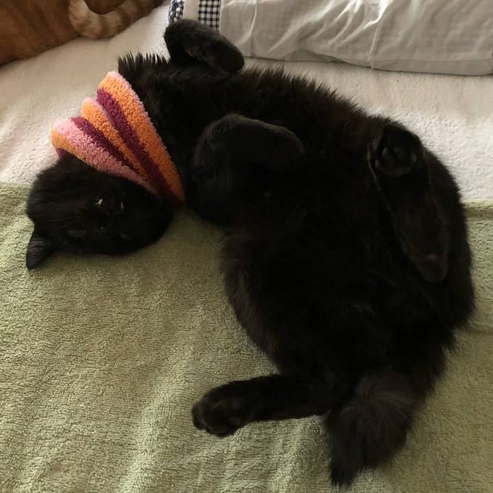 E609d327 6d95 4e95 b96f 12eb4541e246 1587860240448