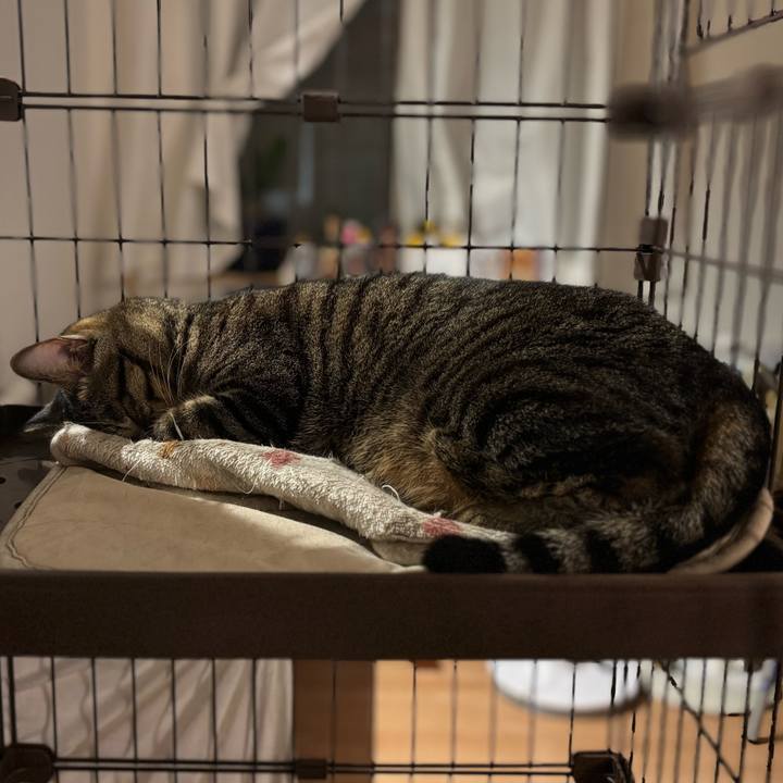 E609e9d4 0291 4dc3 b0ba 61c7a4dc41ed 1763014832708