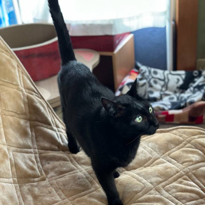 E609fef9 164d 4b29 9488 b9388034761d 1667612233854