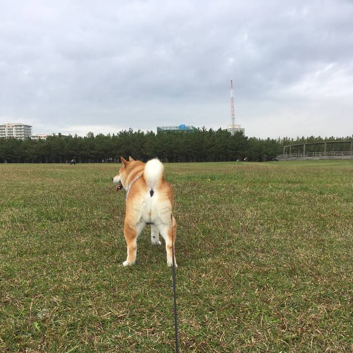 E60a05ef 69eb 45c7 b56a 4a27bc392aa2 1541468473656