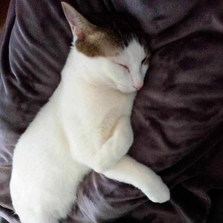 E60a15c7 7be4 4209 b418 1b052e66f71a 1677066059879