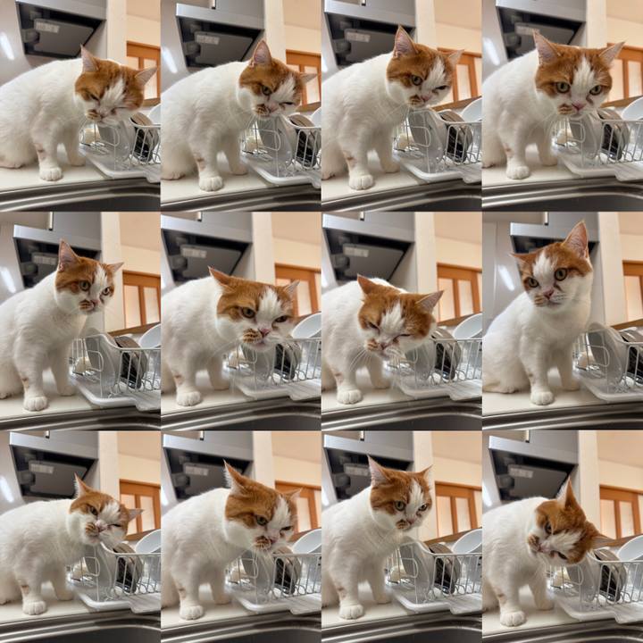 E60a2055 ca12 430c 8bf6 50c40346dcbd 1763087761167