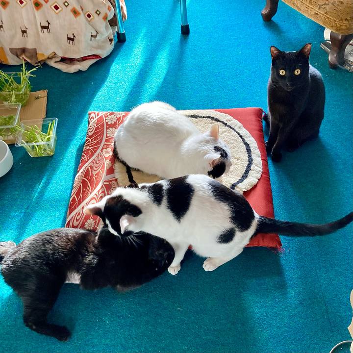 E60a215f 7bd2 43a9 b1c8 1d4c10625896 1648024238846