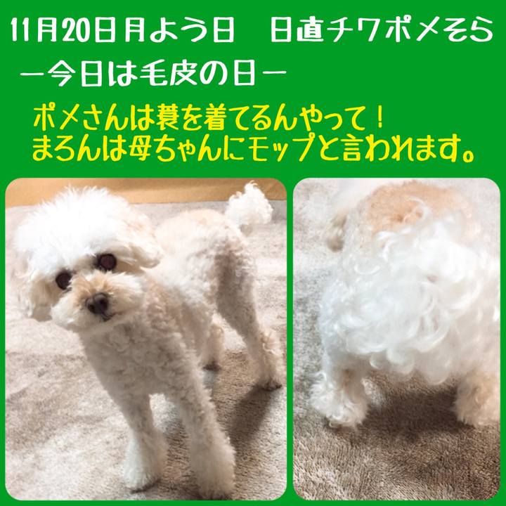 E60a3066 0ce7 4358 892b 250dcaab71bd 1511173546092