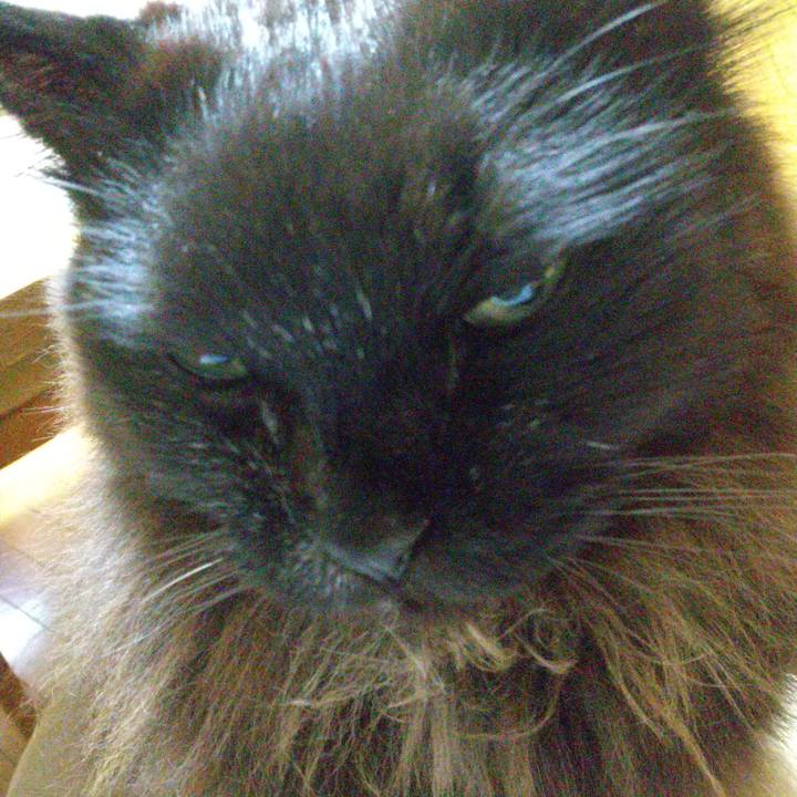 E60a3dfa d57f 442e 9dad ef285ed74187 1704545888958