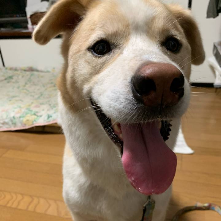 E60a4a55 0d3c 43ec 9667 b7d0d31eed9a 1594220067745