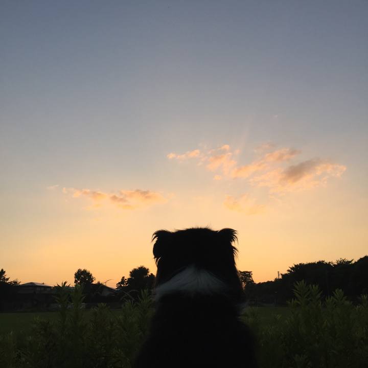 E60a4dfb b982 4a0e 89e2 9cdd8540b5bd 1533156919809