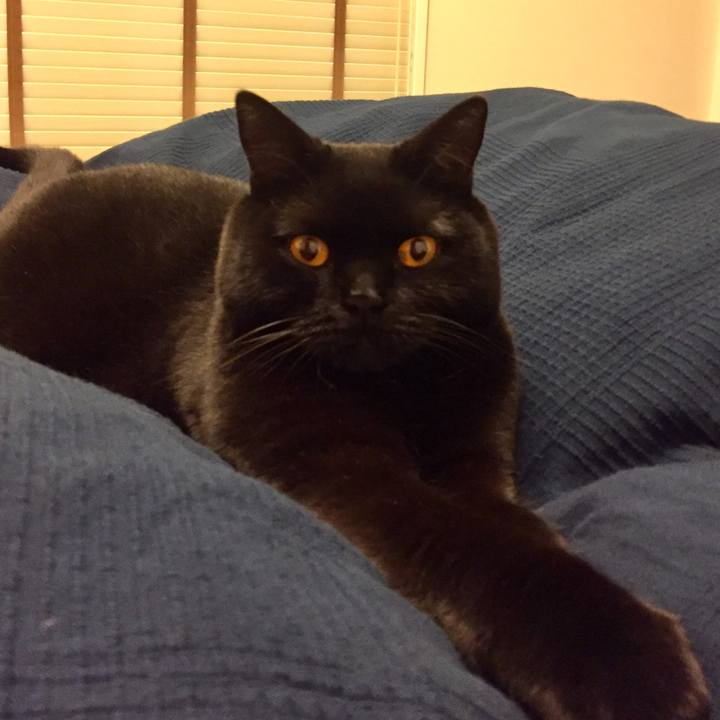 E60a575d 691c 4020 a583 bf8b63b9a579 1574330758412