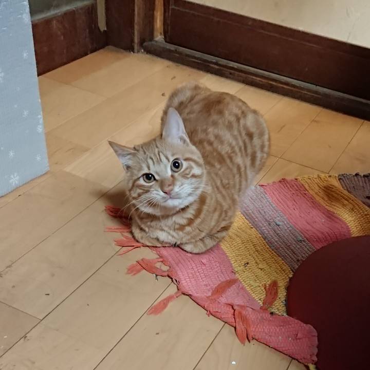 E60a6245 565b 4026 880c c18aca87659a 1640515633091