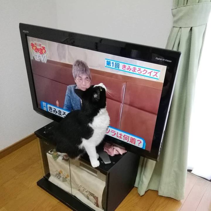 E60a6c66 c66c 4dc4 a67d 62bf81aae115 1601818637575