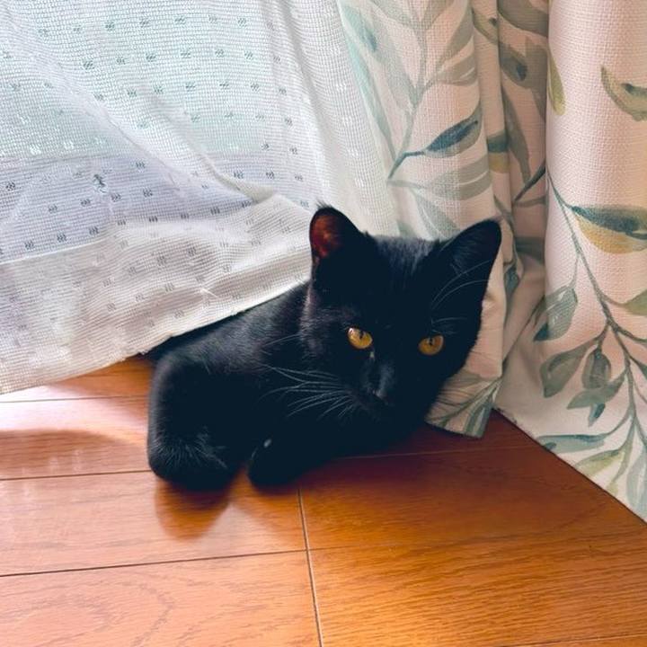 E60a78a2 4311 40fb bc72 c1e40494f4a9 1735453342574