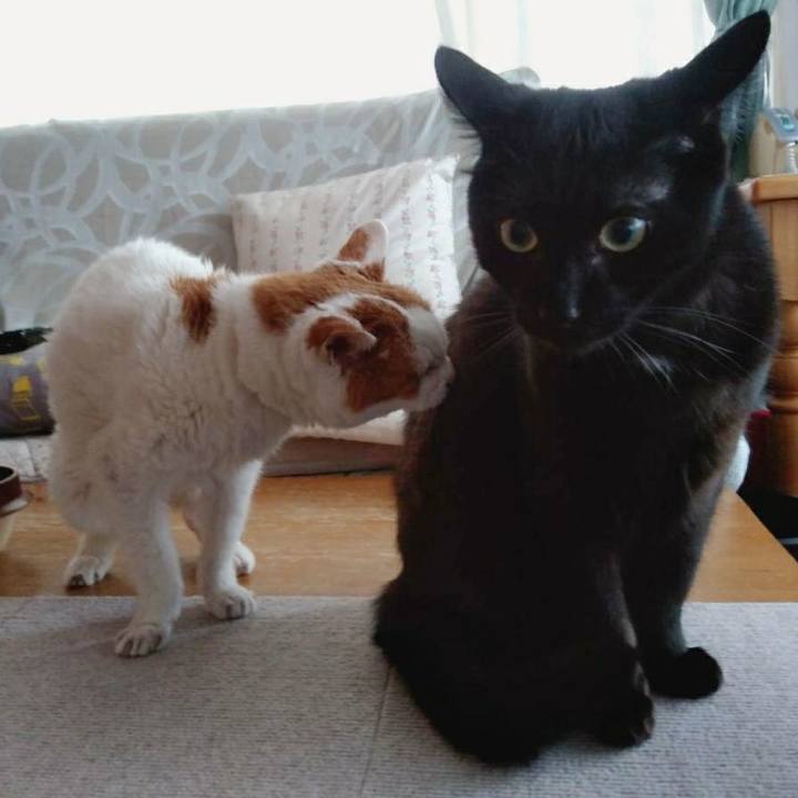 E60a8b29 1287 4506 8560 783043f711aa 1608259024826