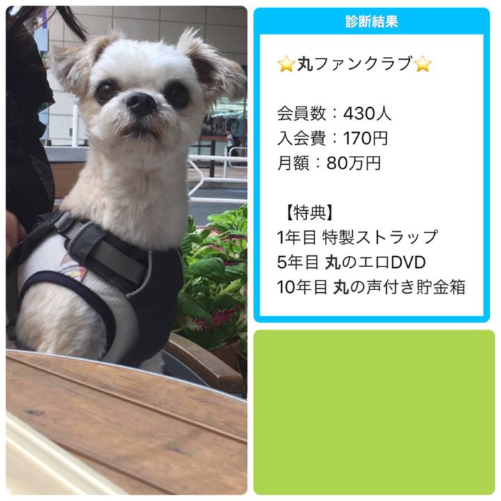 E60a900c 84c2 4454 961f 30e8fcfcbec6 1568448062405