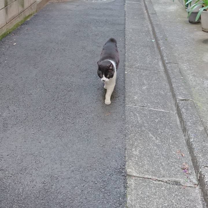 E60ad235 1b00 4a9d acfc 980c7ef473e9 1681979679478